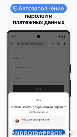 Google Chrome скриншот 6