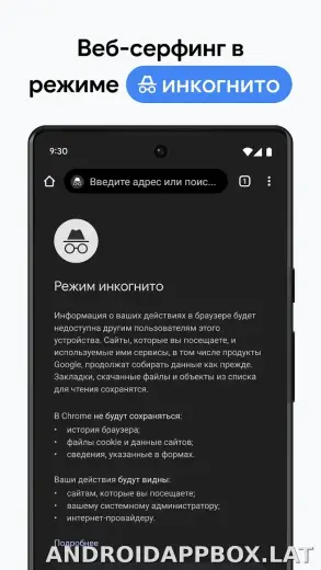Google Chrome скриншот 3